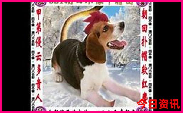 武汉哪里好玩啊一日游